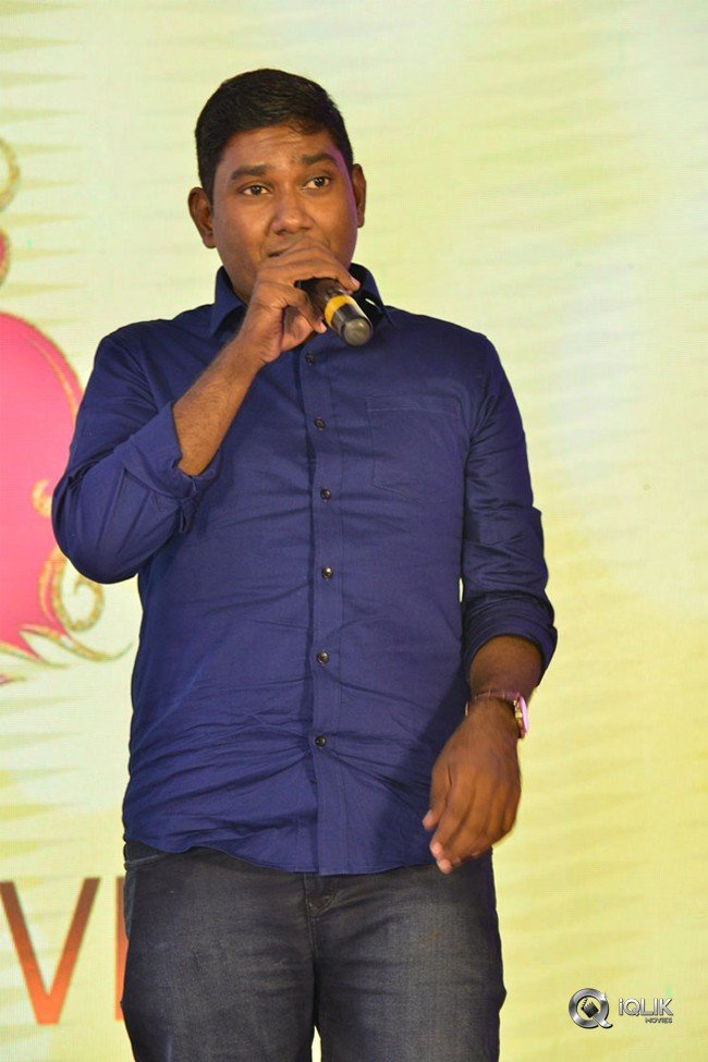 Happy-Wedding-Pre-Release-Event-Photos